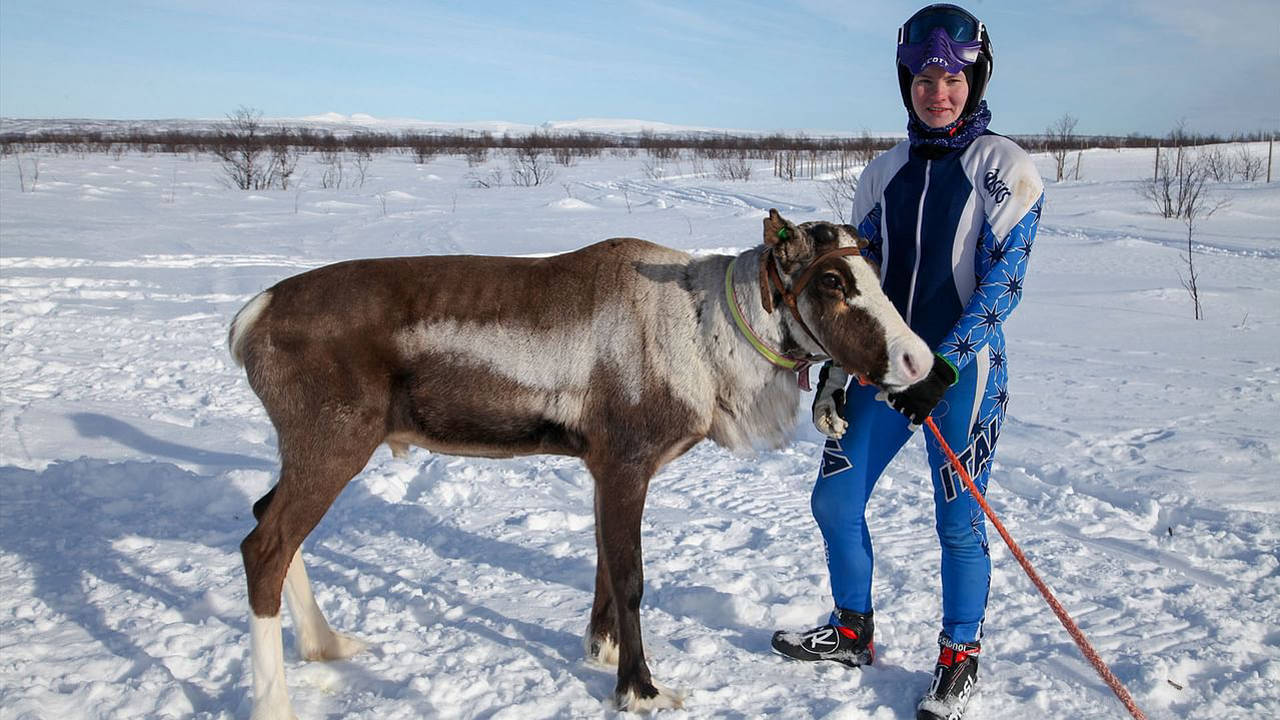 GEO Reportage - Norvège, la princesse des rennes